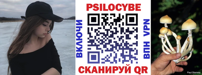 Галлюциногенные грибы Psilocybine cubensis  Купить  Королёв 